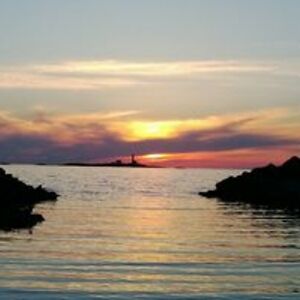 audun_ostevik avatar