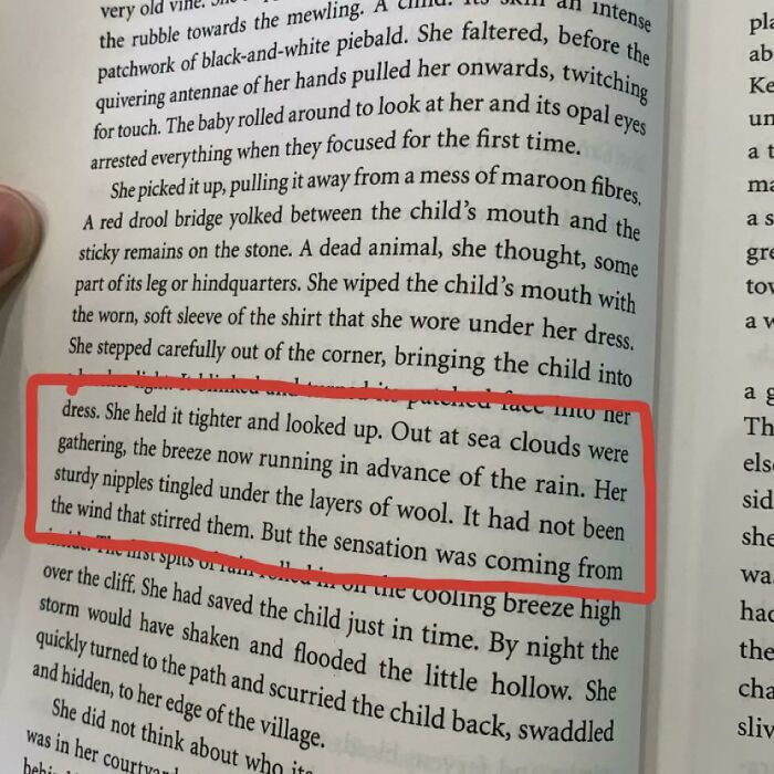 "Sturdy Nipples" In The Erstwhile By B. Catling