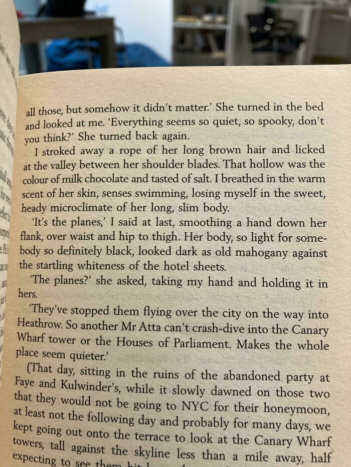 Too Horny To Think About The Aftermath Of 9/11 (Iain Banks - Dead Air)
