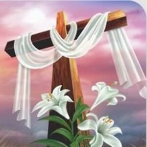 butlerdoris5889 avatar