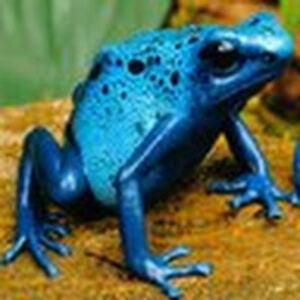 mz_heidibrown avatar