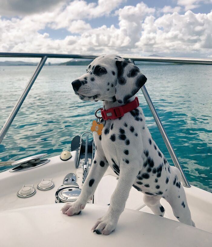 First Boat Day