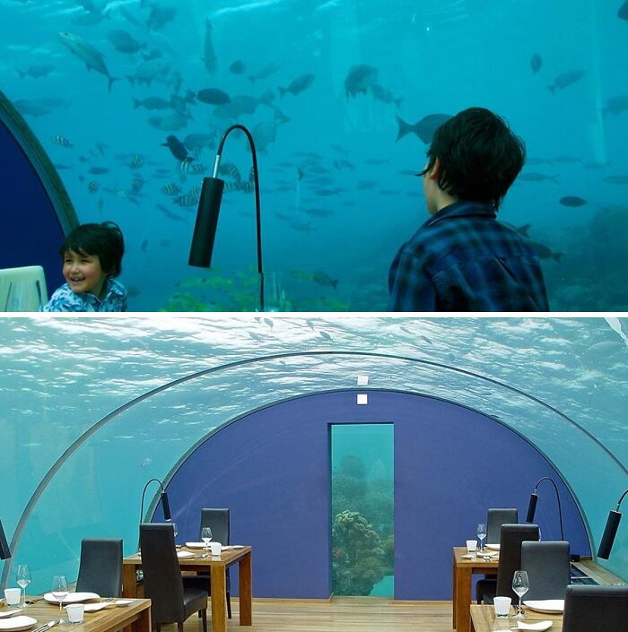 Ithaa Undersea Restaurant - Rangali Island, Maldives