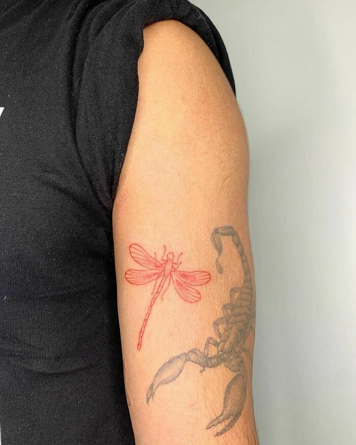 Red ink dragonfly and black scorpion tattoos on arm, showcasing intricate tattoo artistry.