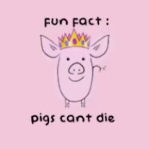 norahvanderlaan_1 avatar