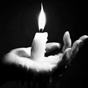 robertmendokasbob_ avatar