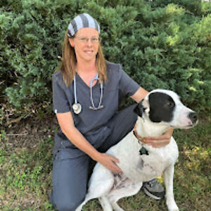 persimmoncreekanimalhospital avatar