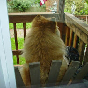 nikkijohnson_2 avatar