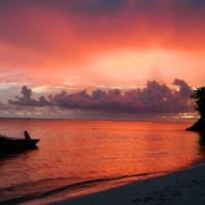 brookeehanson avatar