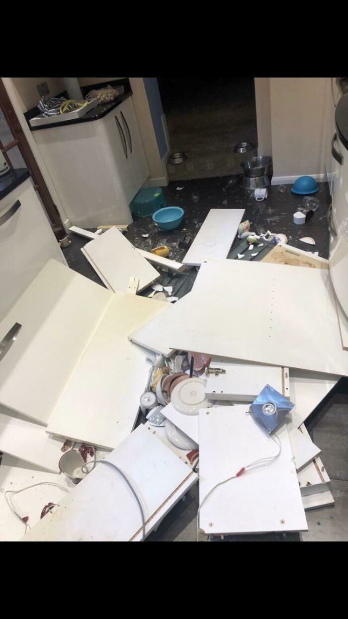 Kitchen Cabinets Decided To Yeet Themselves At 4 In The Morning