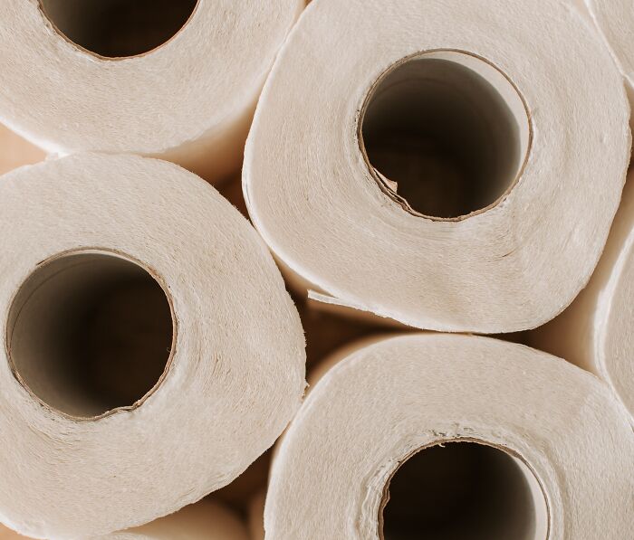 Toilet Paper Rolls 