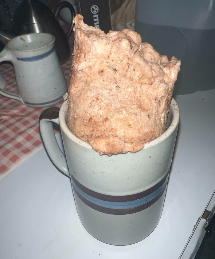 Tried To Make A Mug Cake. One Minute Later My Microwave Birthed This Monstrosity