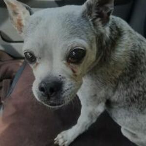 heatherhouck031691 avatar