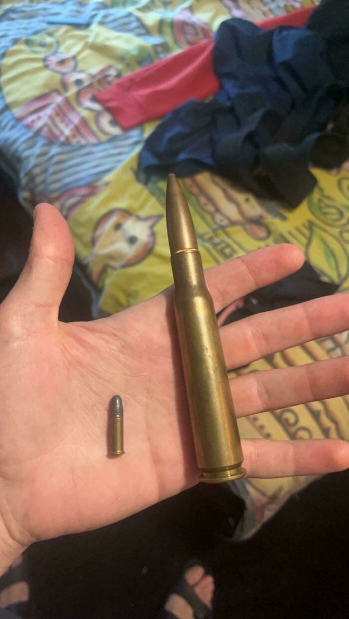 .22 Round vs. .50 Cal Round