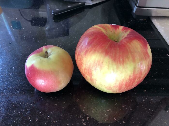 An Apple From My Local Orchard vs. From The Grocery Store