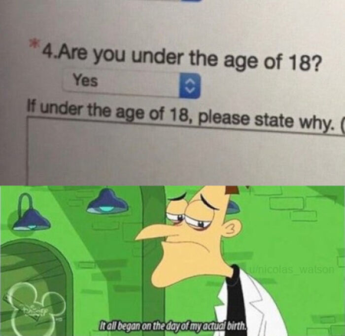 This Question From My Job Application Still Confuses Me I Have No Idea How To Respond