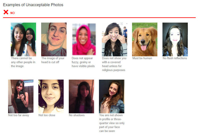 Sat Test Registration Requires You To Upload A Photo Of Yourself. Apparently More Than One Person Has Uploaded A Photo Of Their Dog