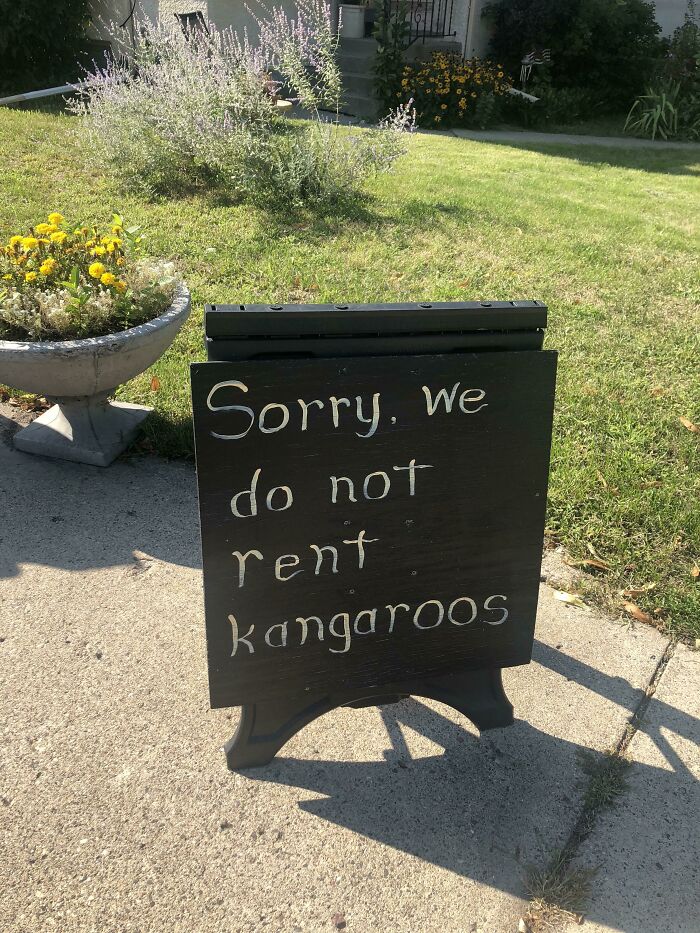 Spotted At A Local Ice Cream Store