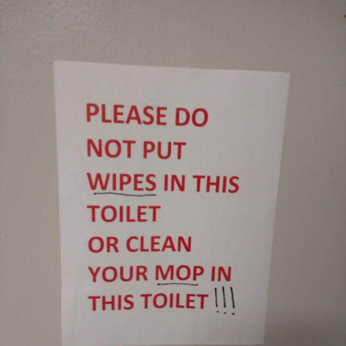 This Toilet Is Special