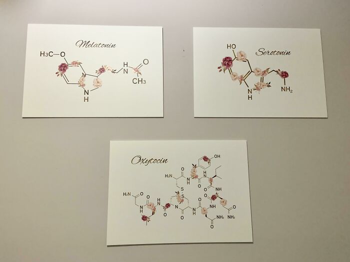 Melatonin, Serotonin and Oxytocin formulas on the wall 