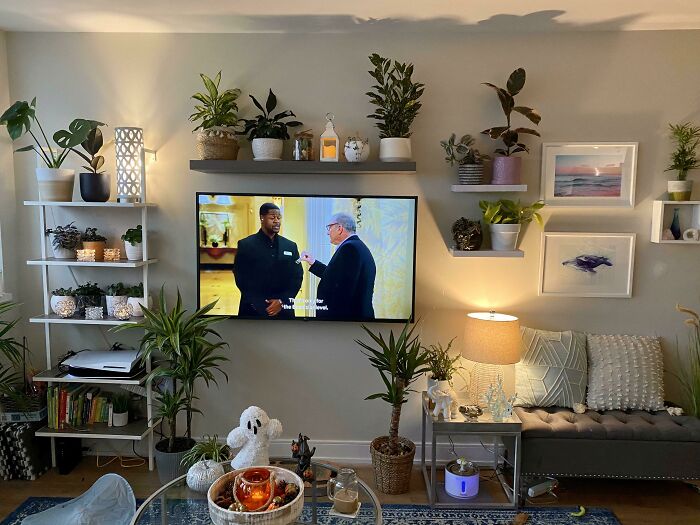 Plant wall and tv 