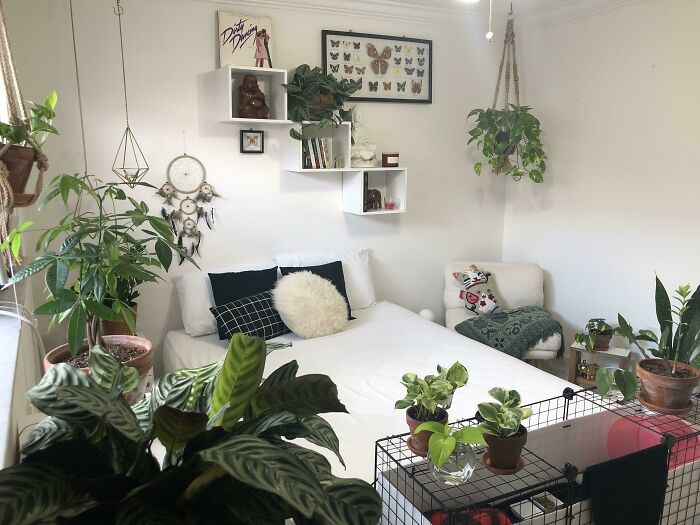 Photo of room full of plants