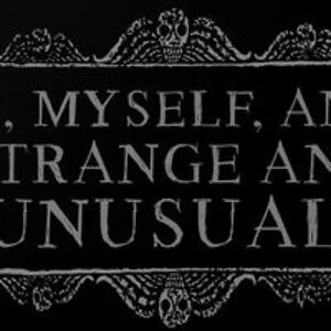 winchester0979 avatar
