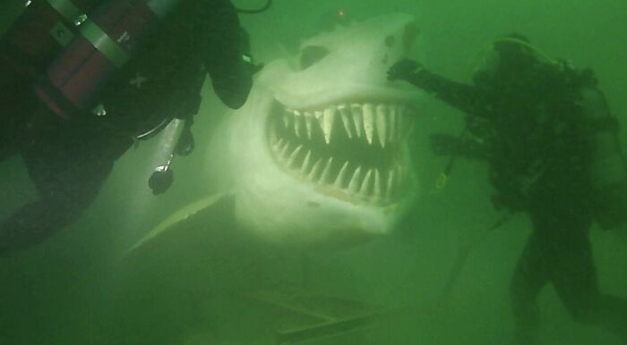 Underwater Shark Statue At Lake Neuchâtel