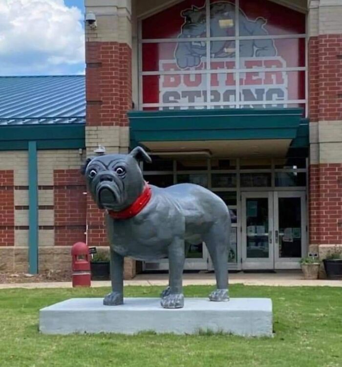 Local High School Ordered A Bulldog Statue But Got This Pug Instead