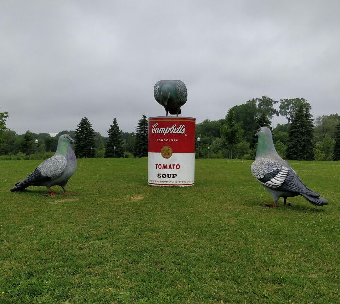 Campbell's Soup Can With Pigeons In Québec City