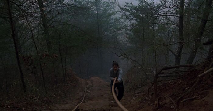 The Silence Of The Lambs