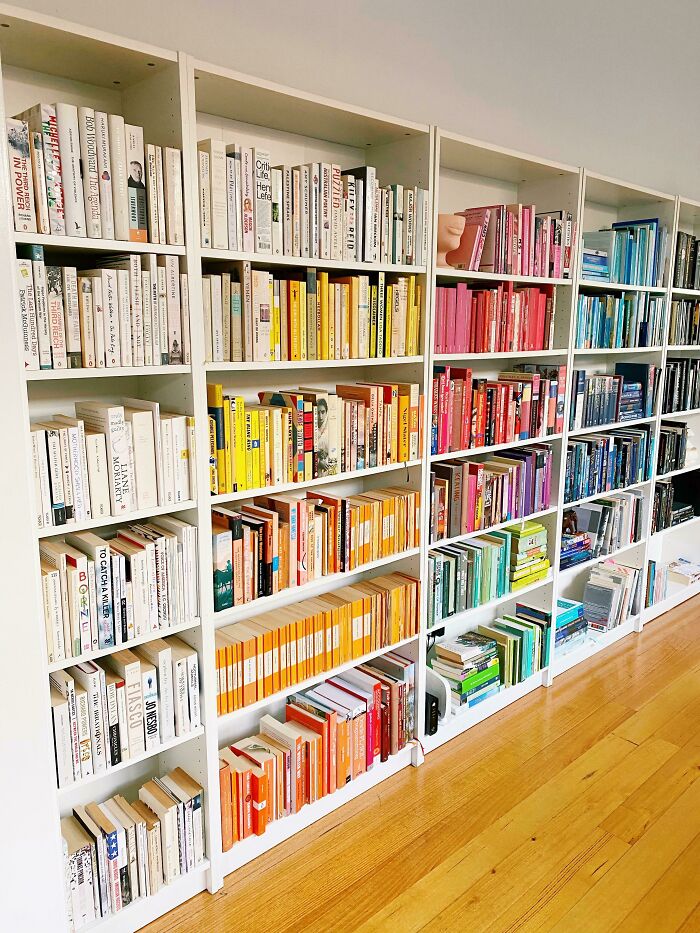 Color-Coded Wall Bookcase