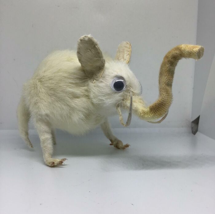 Here Is An Elephant I Made Out Of Rats And Mice Skin