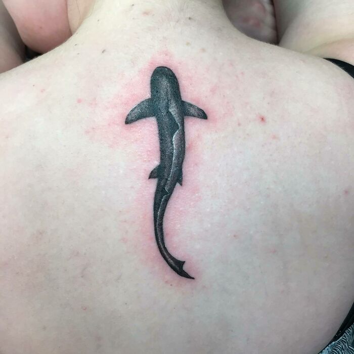 Black baby shark tattoo on upper spine