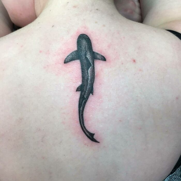 Shark-shaped spine tattoo with intricate black shading on a person's back.