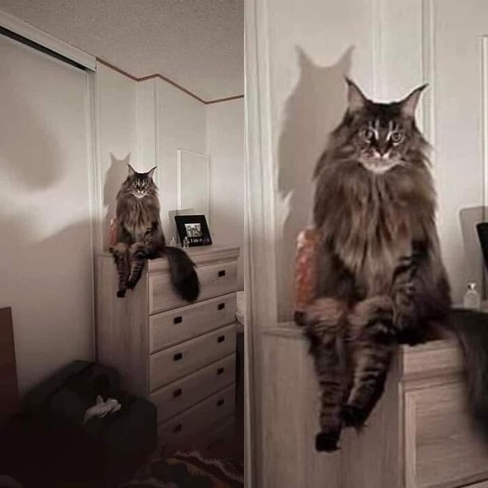 30 Pics That Might Make You And Might Even Scare You