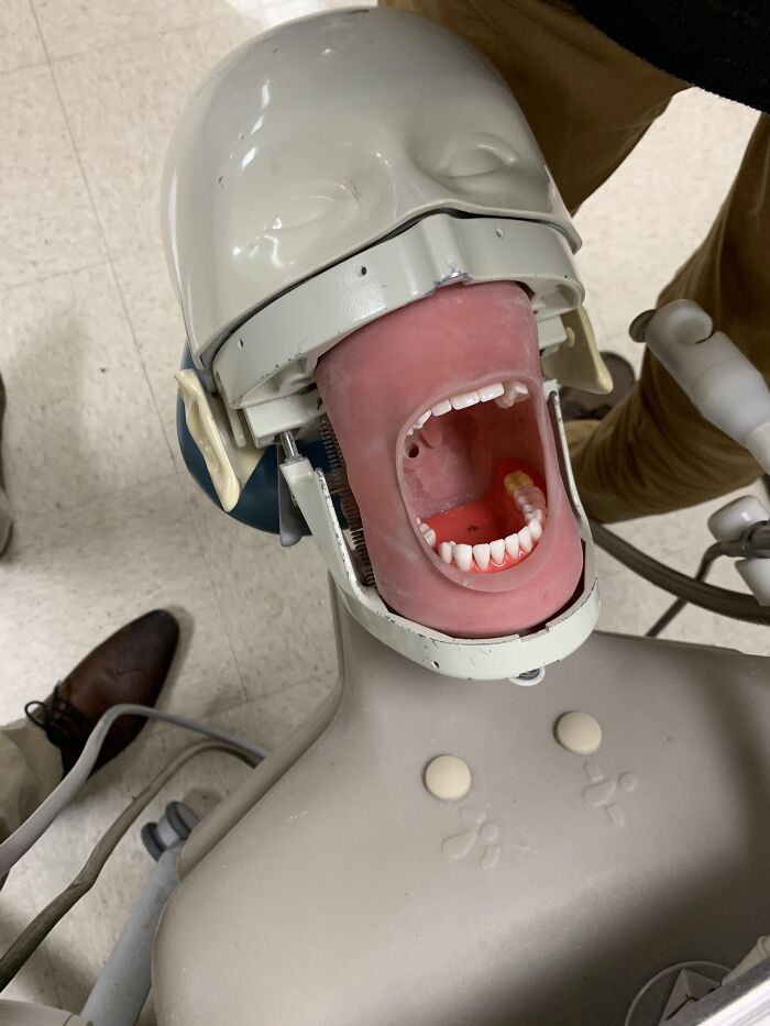 This Dentist Training Tool