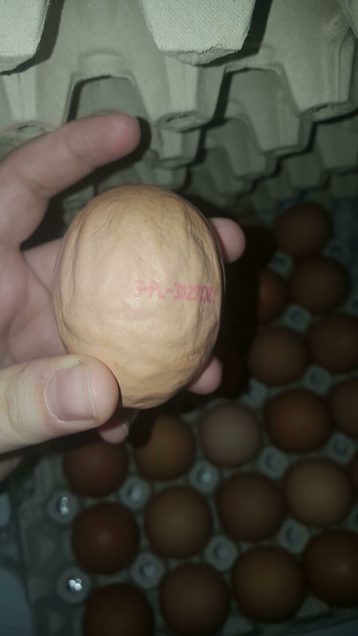 This Weird-Shaped Egg