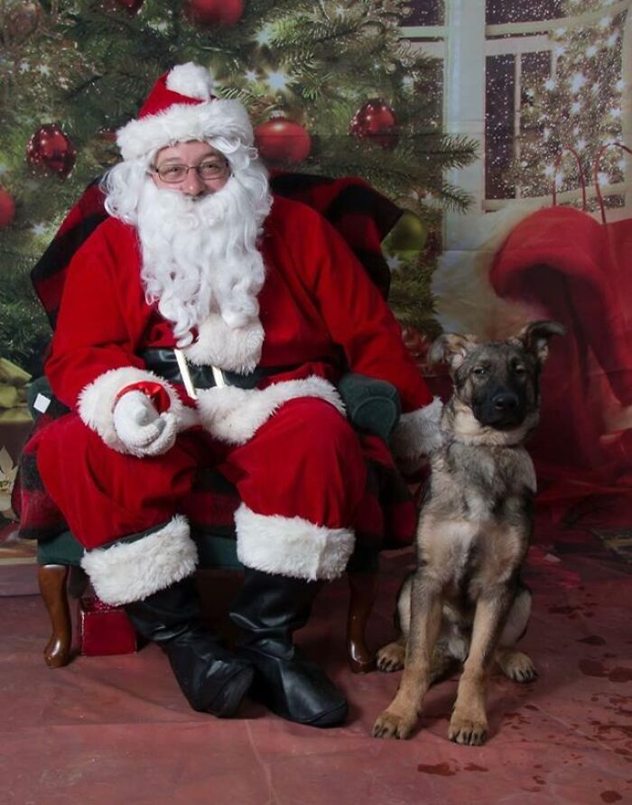 Dog sitting near Santa Clause