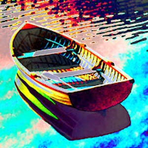 spacedolphincorp avatar