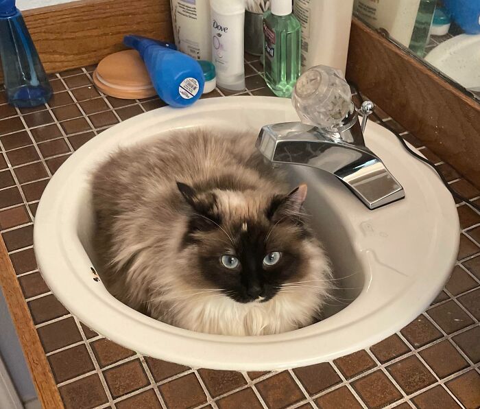 Why Is There A Puddle In My Sink?