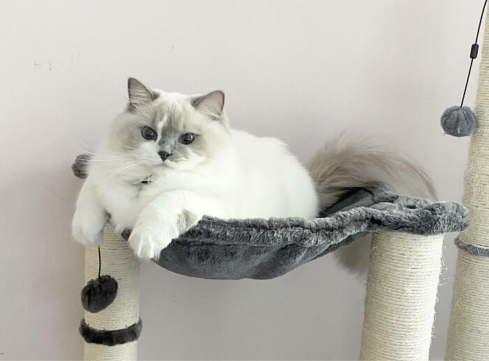 It’s Judgement Day!