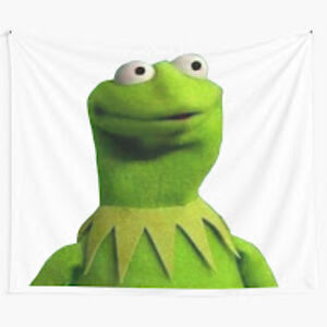 sophiamesserschmidt avatar