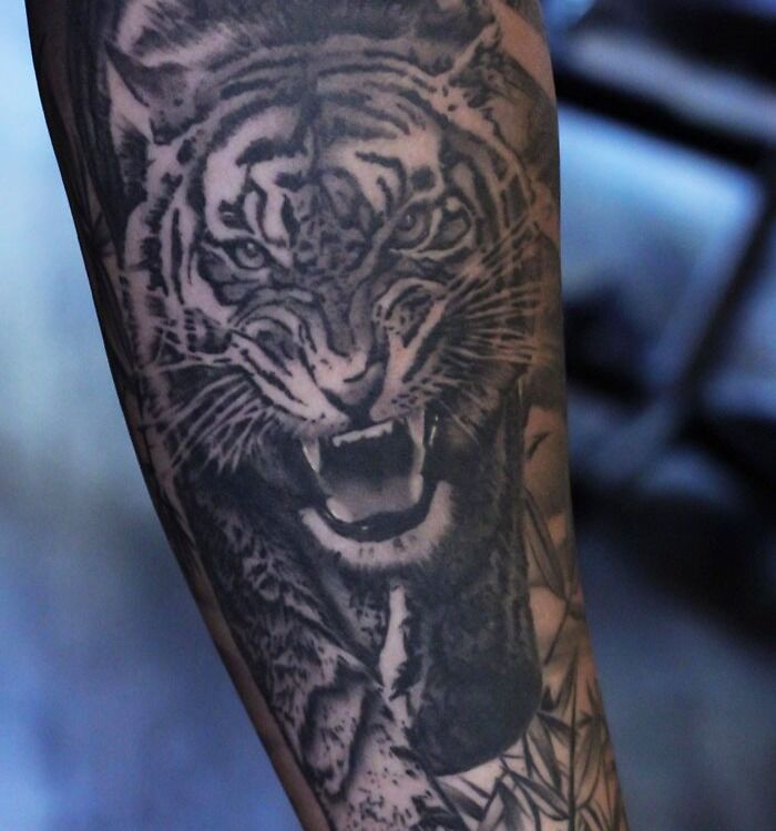 Tattoo of a roaring tiger on an arm, showcasing intricate details and bold animal art design.