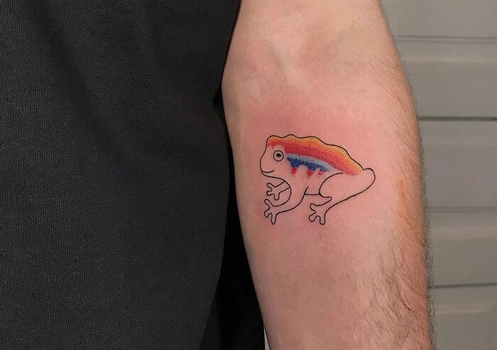 Animal tattoo of a colorful frog design on a person's arm.