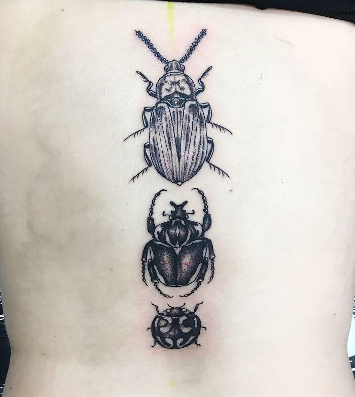 Beetles Down My Spine