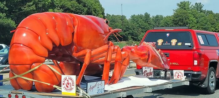 I Passed A Lobster On The Highway