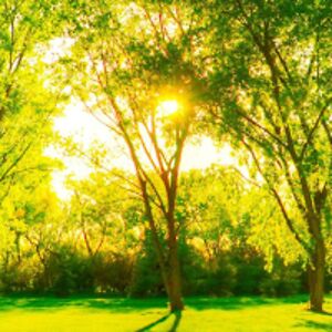 johnannafaithfaith2one avatar