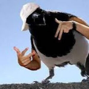 williamkruckow avatar