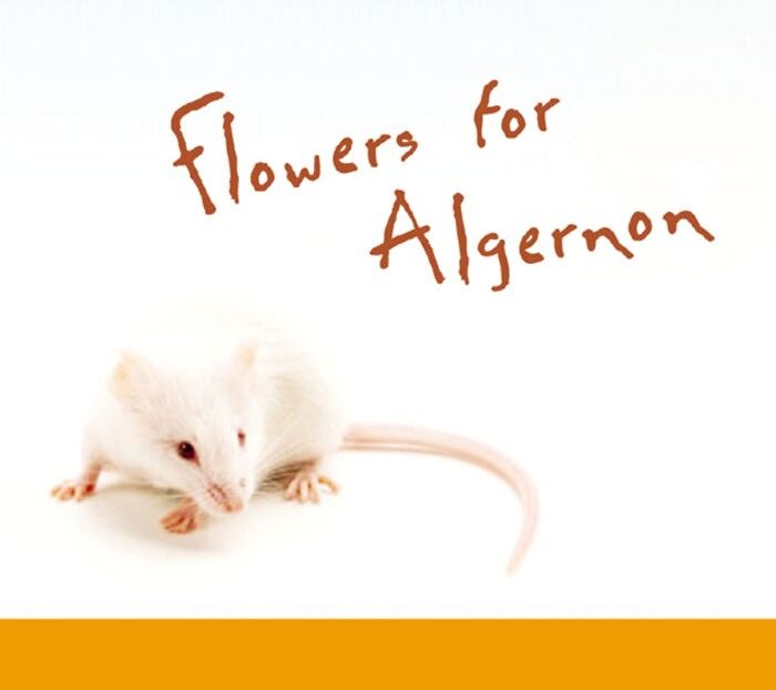 Flowers For Algernon By Daniel Keyes